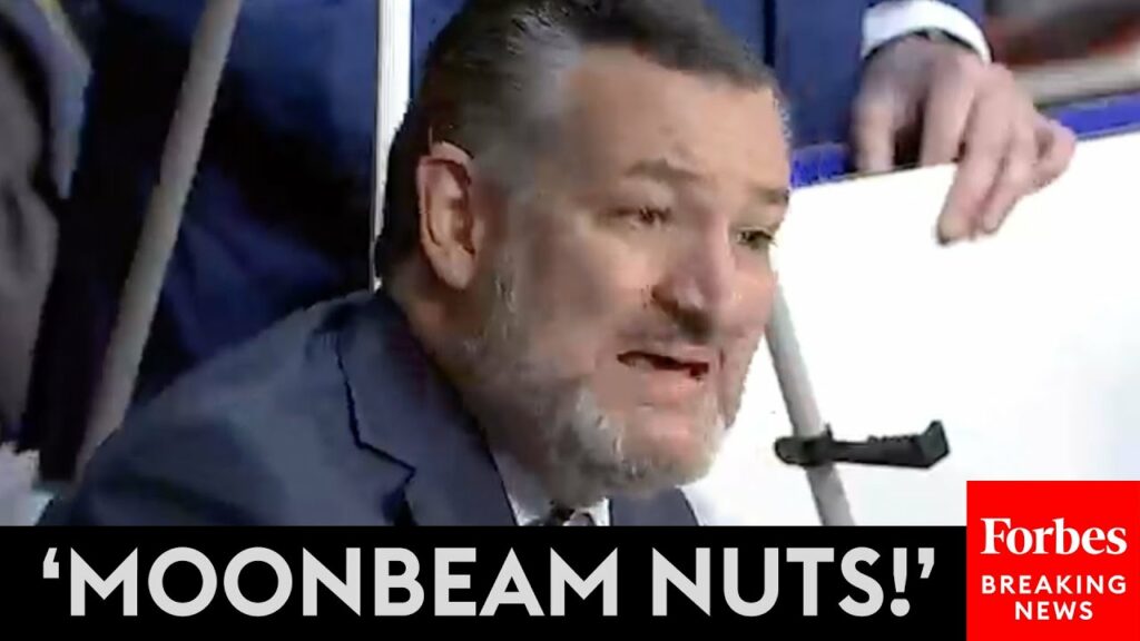 BREAKING NEWS: Ted Cruz Goes Nuclear On Dem Colleagues For Supporting ‘Loons’ Nominated For Bench