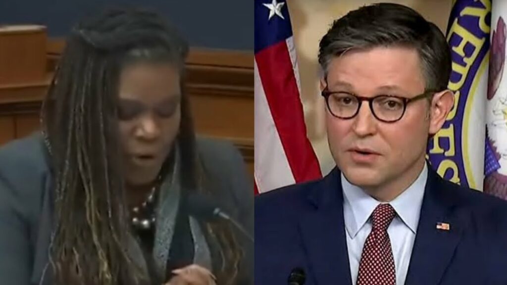 Mike Johnson HUMILIATES Dems Congresswoman AFTER She Tried To Act Smart In Congress