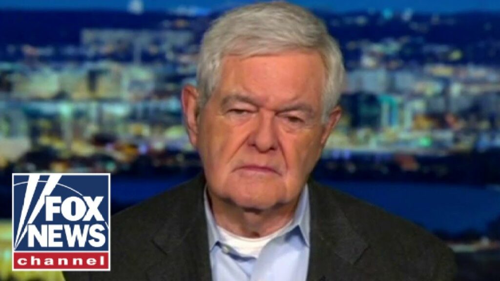 Newt Gingrich: We have a totalitarian left