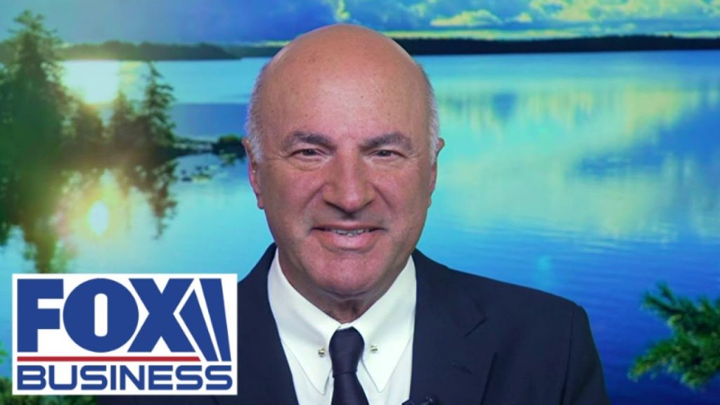 ‘BE CAREFUL’: Kevin O’Leary sends warning to Brazil amid Elon Musk feud