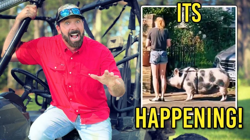 HOLY COW! I’ve Never Seen Europeans FIGHT BACK Like This! Buddy Brown HOLY COW! I’ve Never Seen Europeans FIGHT BACK Like This! Buddy Brown