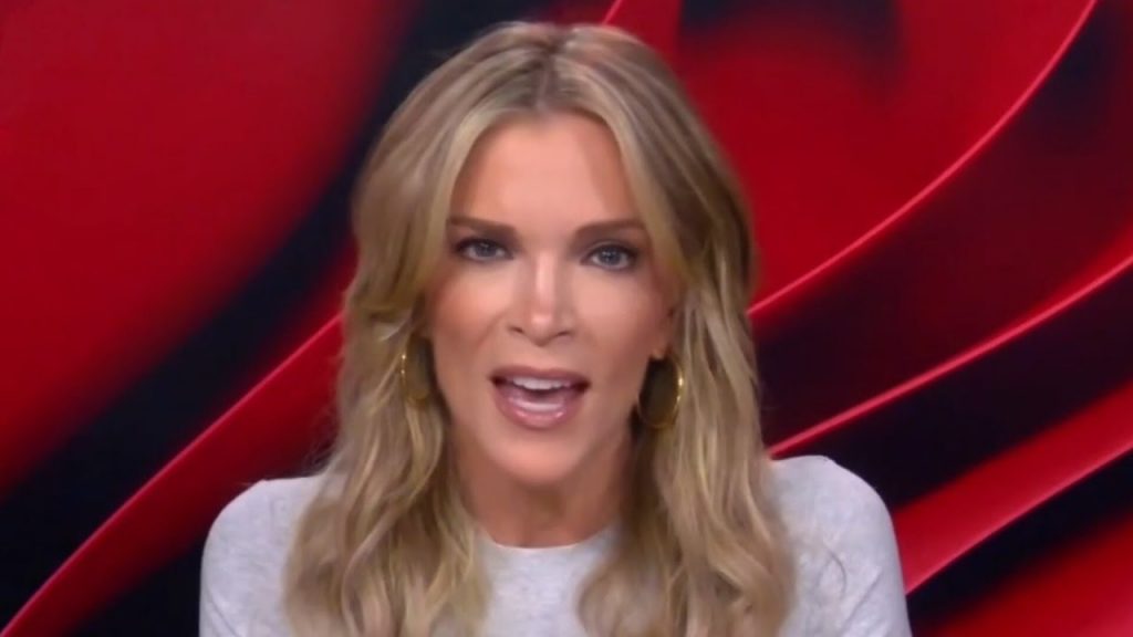 ‘F***ing stupid’: Megyn Kelly blasts Vanity Fair for ‘alienating’ half of America ‘F***ing stupid’: Megyn Kelly blasts Vanity Fair for ‘alienating’ half of America