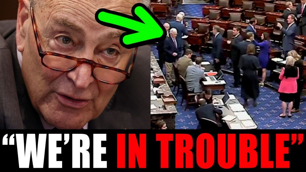 Dems in REVOLT as shutdown continues to devastate the PARTY!!!