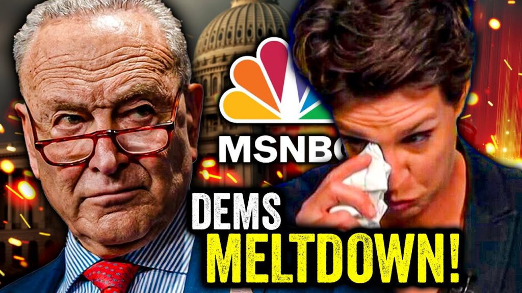 MSNBC LOSES THEIR MINDS as Humiliated Schumer CAVES!!!