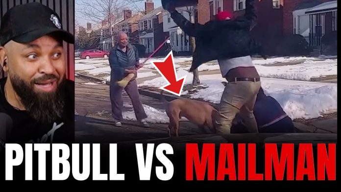Pit Bull Attacks Mailman Then Whole Neighborhood Jumps In!