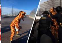 Protester in Giraffe Costume Taken Down by ICE Protester in Giraffe Costume Taken Down by ICE