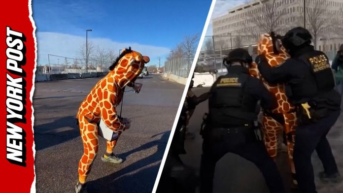 What Is Driving Liberal Women Crazy?