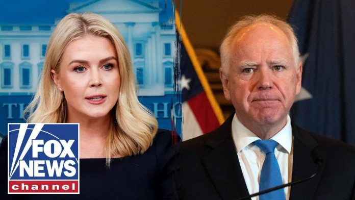 JUST IN: Leavitt REVEALS Trump's offer to Walz