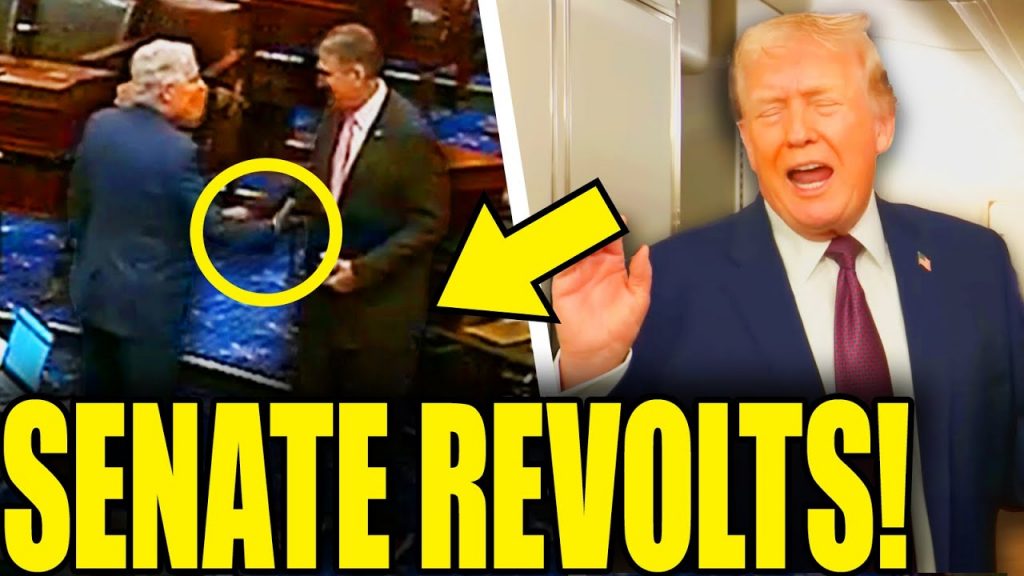 MAGA Senate Revolts Ends Trump Plan … He Shuts Down Congress!