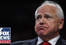 Jordan goes SCORCHED EARTH over alleged fraud in Minnesota: This is ‘REAL’ Jordan goes SCORCHED EARTH over alleged fraud in Minnesota: This is 'REAL'