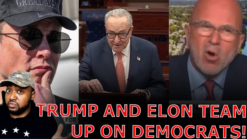 Liberal Media TURNS AGAINST Democrats As Stunt BACKFIRES After Trump And Elon Musk Pull Chess Move!