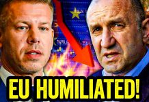 The EU and GLOBALISTS Have Been Made to Look TOTAL FOOLS!!! The EU and GLOBALISTS Have Been Made to Look TOTAL FOOLS!!!