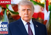 BREAKING: Trump declares Iran war ‘TERMINATED’ in letter to Congress, report says BREAKING: Trump declares Iran war 'TERMINATED' in letter to Congress, report says