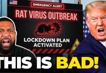Cities TO LOCKDOWN as Cruise Ship Virus Spreads? Cities TO LOCKDOWN as Cruise Ship Virus Spreads?