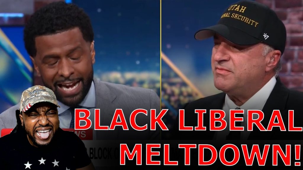CNN Host STOPS SHOW As Black Liberal LOSES IT After Being Told TO GET OVER RACISM & Democrats LOSING
