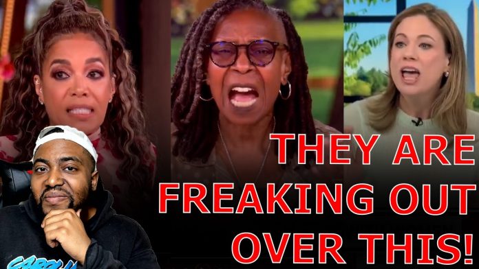 The View & Liberal Media FREAK OUT Over Racist Democrat Campaign IMPLODING Against Republican!