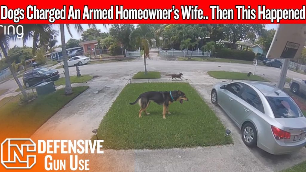 His Wife Was Trapped In The Driveway… Then He Came Back Armed His Wife Was Trapped In The Driveway… Then He Came Back Armed