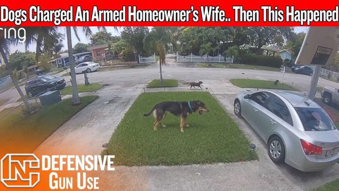 maxresdefault-369 His Wife Was Trapped In The Driveway… Then He Came Back Armed