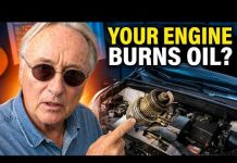 Why Your Car Is Losing Oil (And How to Fix It) Why Your Car Is Losing Oil (And How to Fix It)